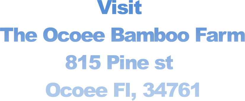Visit 
The Ocoee Bamboo Farm
815 Pine st 
Ocoee Fl, 34761